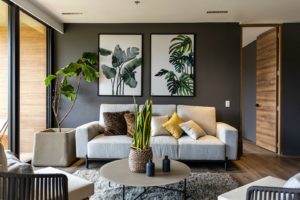 a living room filled with furniture and a potted plant